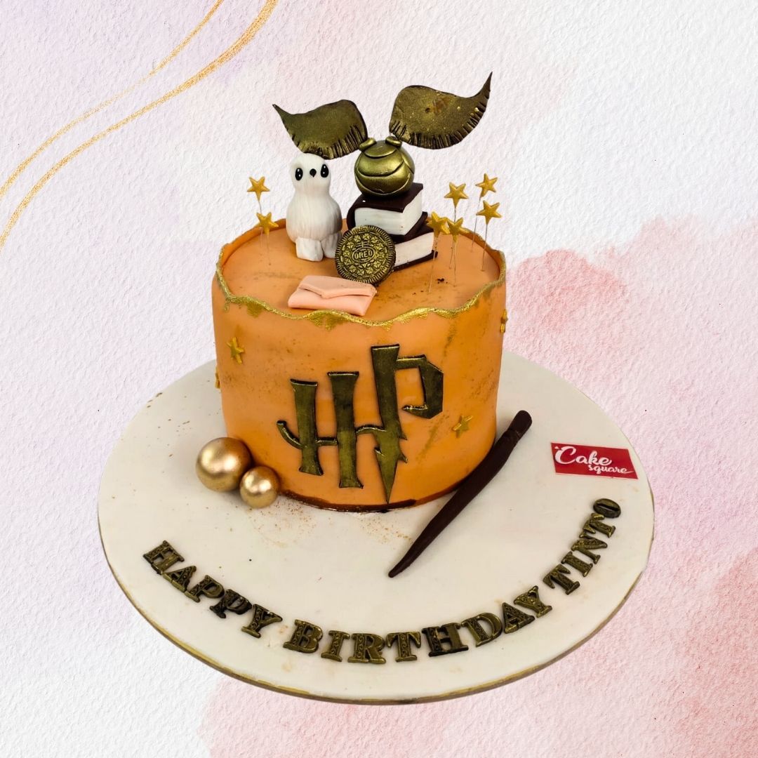 Harry porter theme cake kids birthday cake custom theme cake
