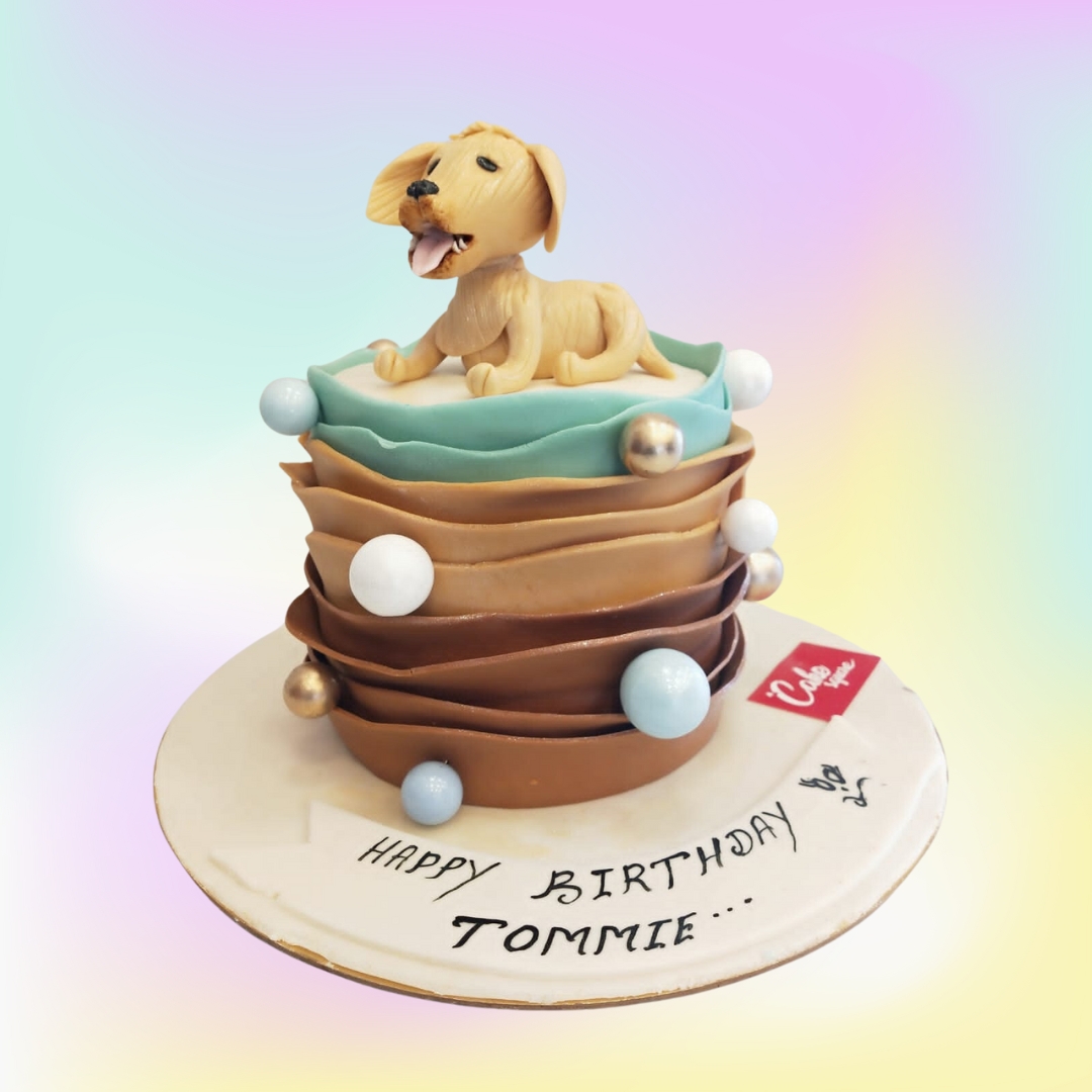 dog theme birthday cake 80